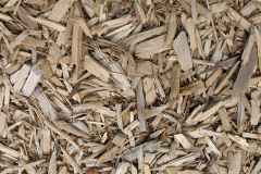 biomass boilers Ewloe